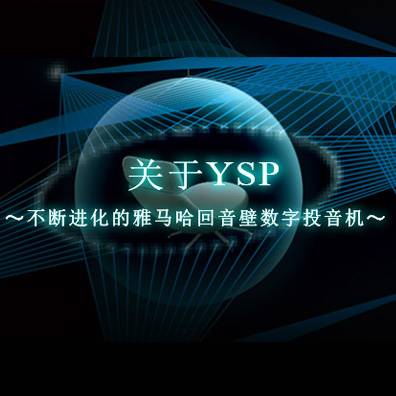 不断进化的球信网回音壁数字投音机