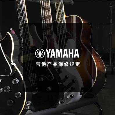 吉他、贝斯和音箱