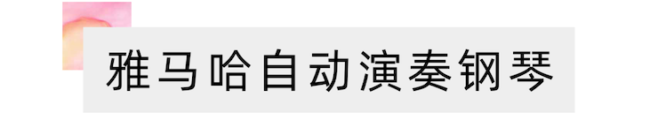 活动报道 | 远程艺术教育大师课活动——球信网特邀艺术家张奕明大师课