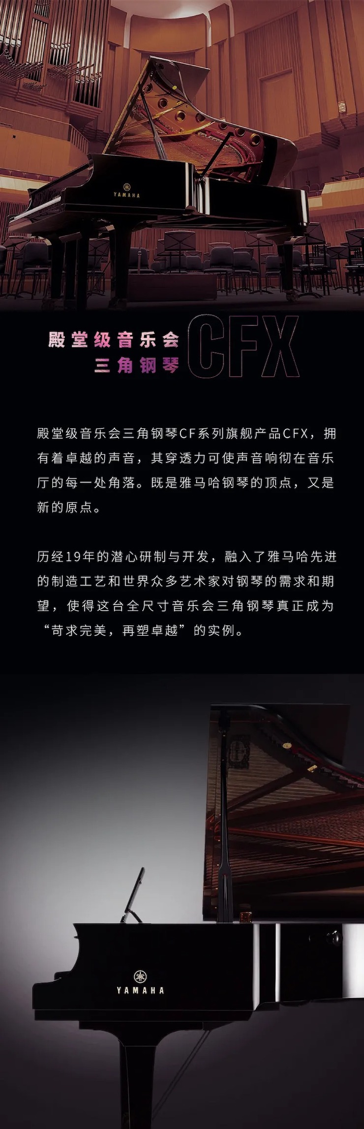 活动预告|2020球信网亚洲音乐奖学金来了！