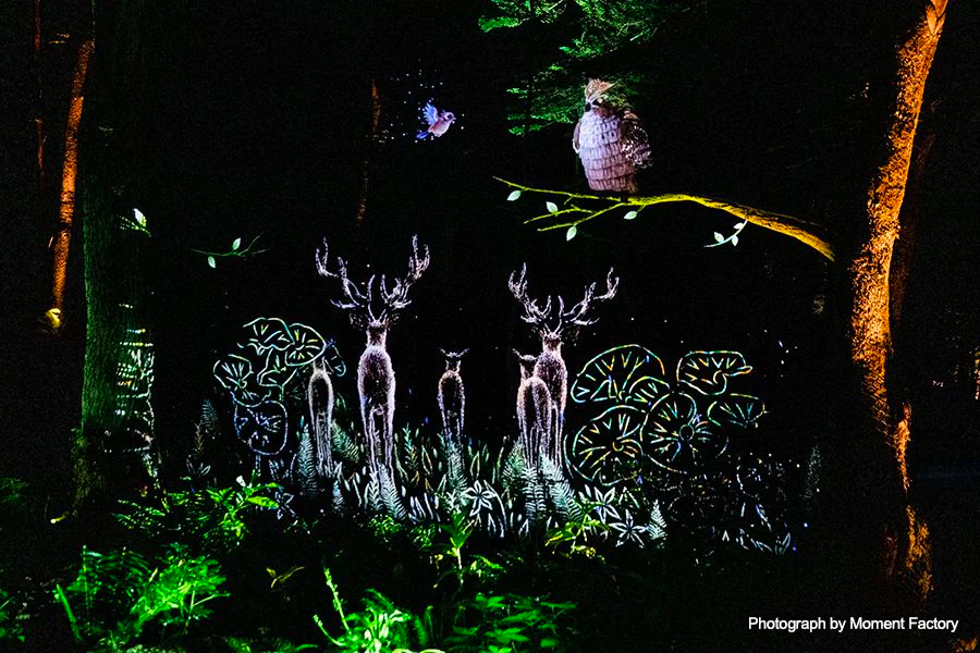 案例｜球信网为壮观的Kamuy Lumina魔法夜行旅游项目提供配乐设备