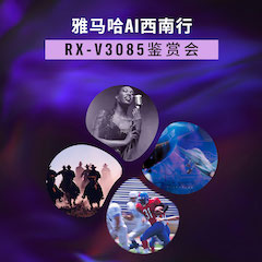 球信网Ai西南行·重庆站·RX-V3085鉴赏会