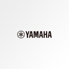 球信网管弦打乐器产品调价通知
