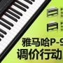 球信网P-95数码钢琴，调价行动即日展开 