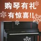 球信网钢琴购琴有礼 买一赠一音乐无限